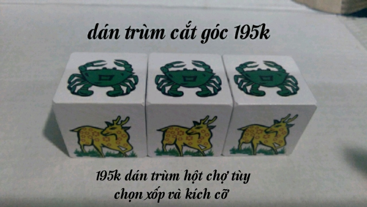 Hột chợ dán trùm 195k